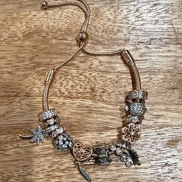 Pandora authentic bracelet & charms boho whimsical set - Picture 8 of 8
